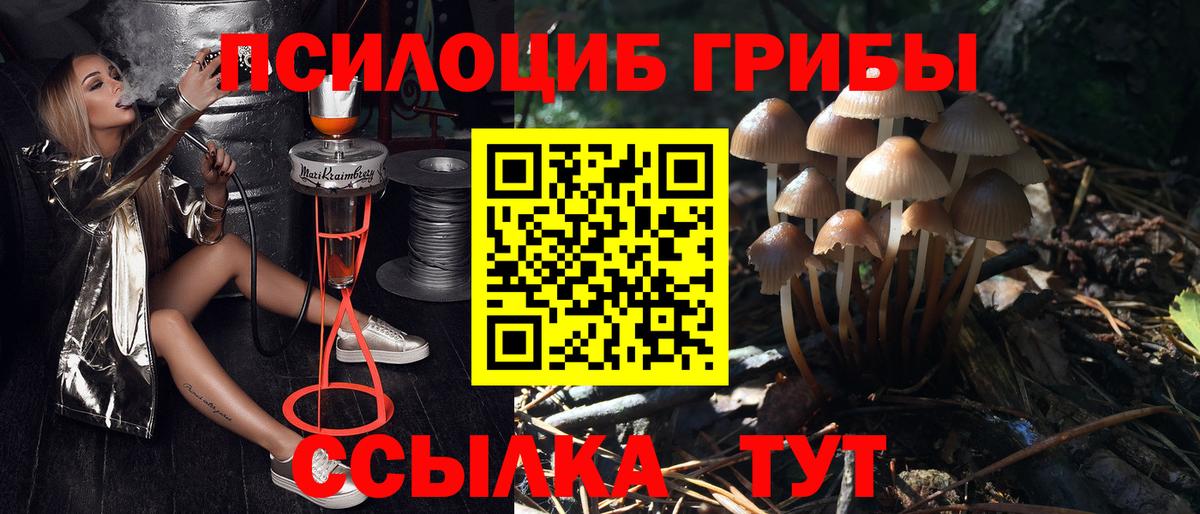 Псилоцибиновые грибы Magic Shrooms Чапаевск